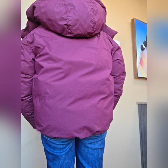 Uniqlo U padded short parka - Picture 2 of 2